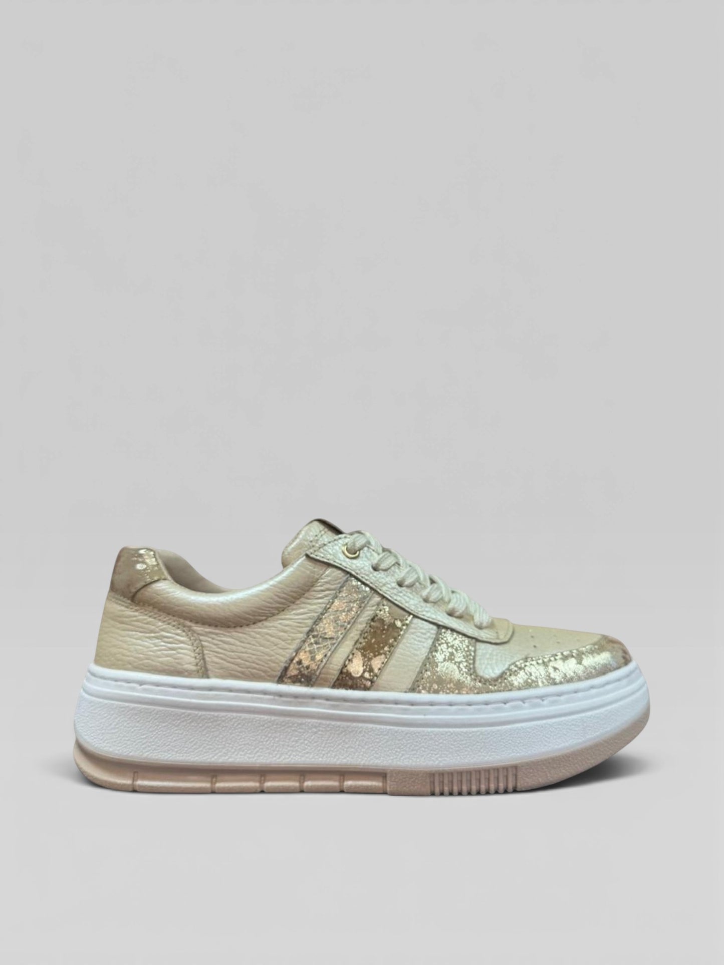 Tenis gavani shoes co para dama en cuero champaña con suela plataforma y detalles metalizados, estilo casual.